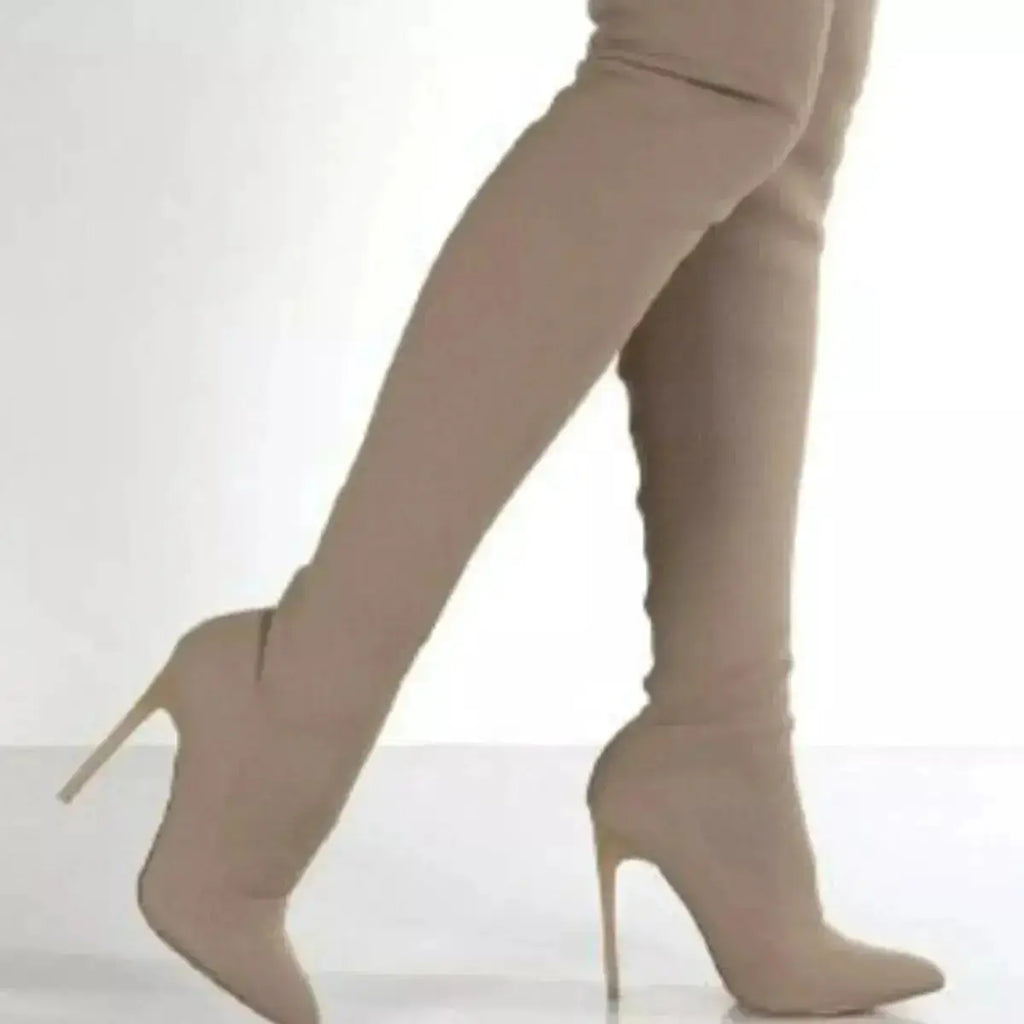 Elegant Point Toe Stiletto Boots in Mesh by Parfymia