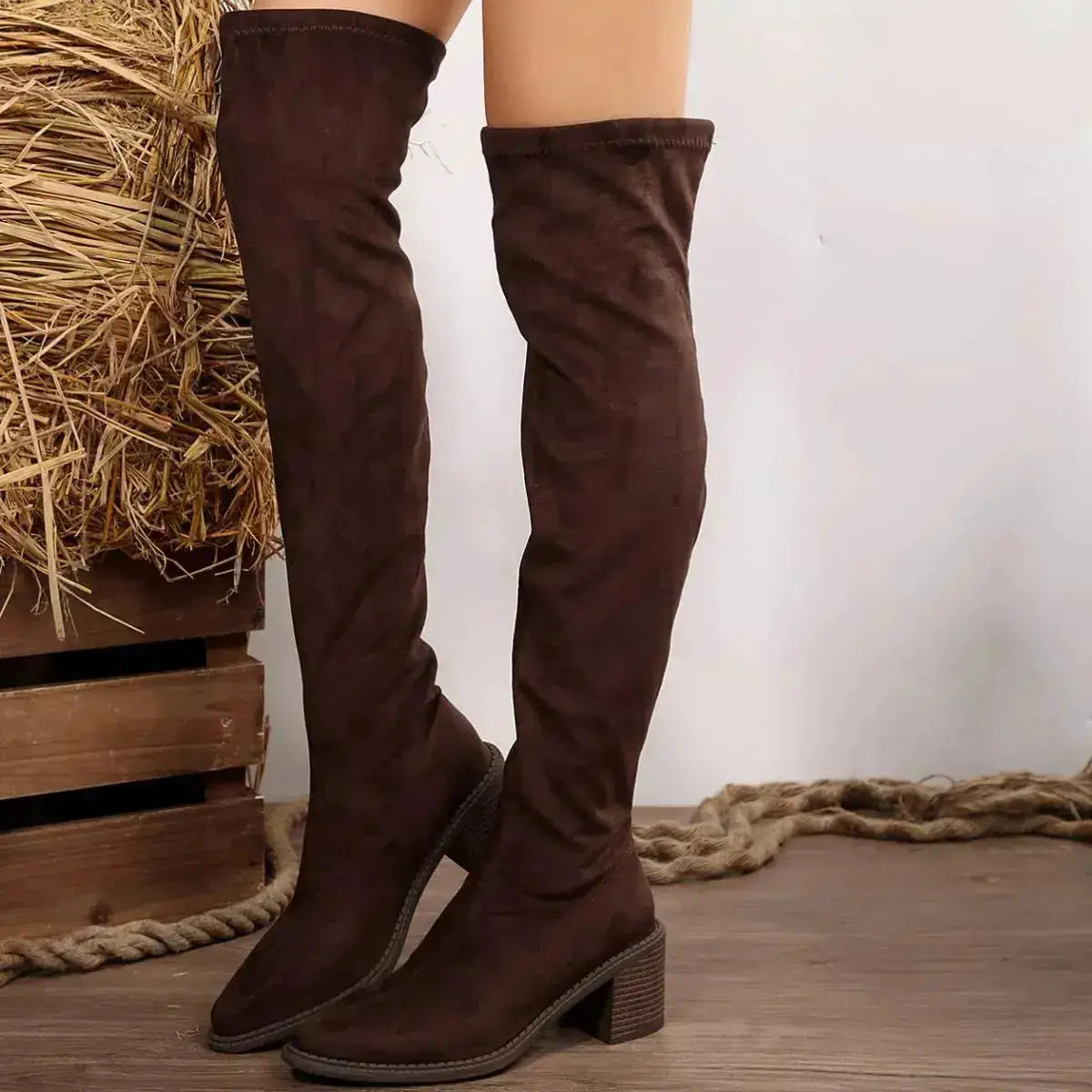 PU Leather Point Toe Block Heels Boots by Parfymia