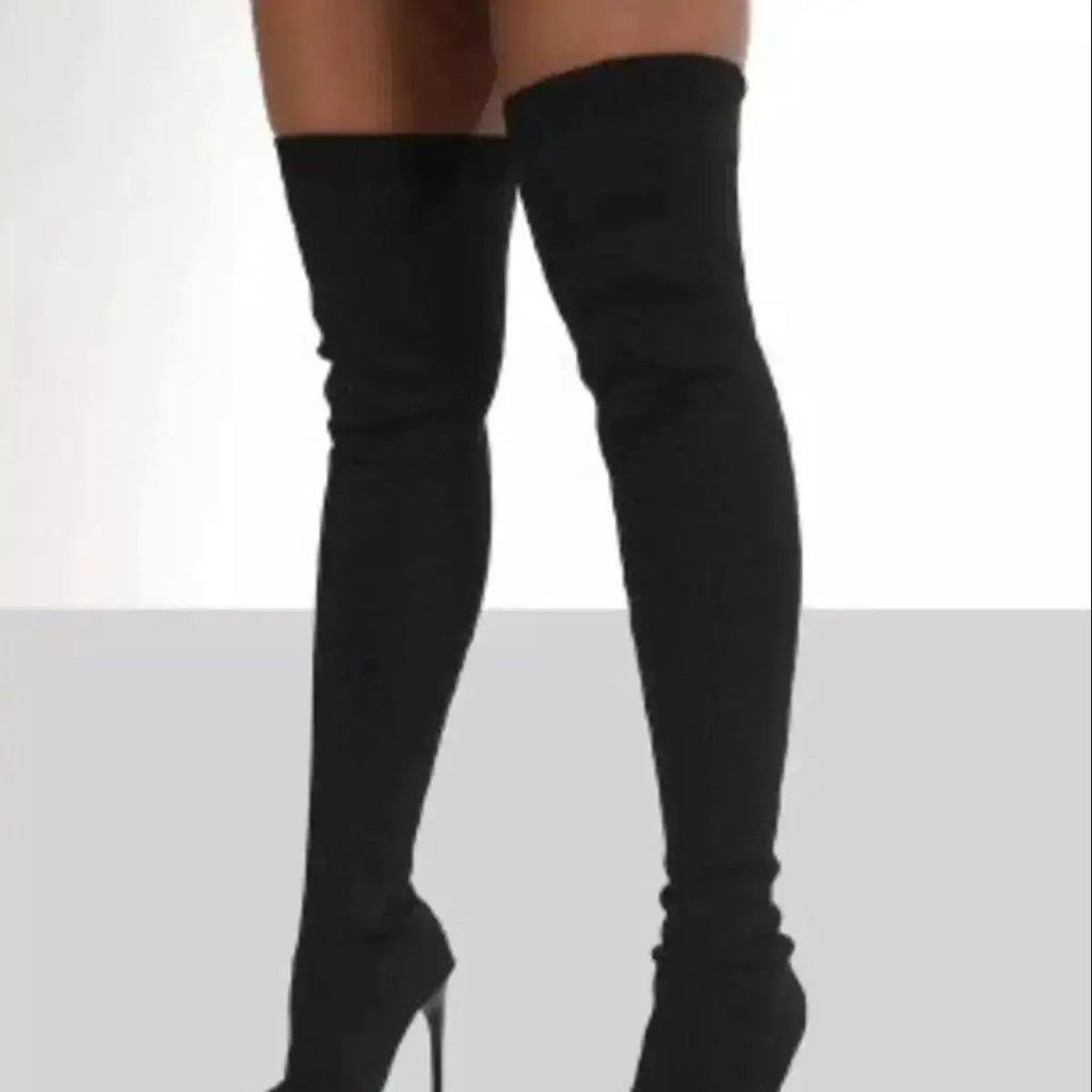 Elegant Point Toe Stiletto Boots in Mesh by Parfymia