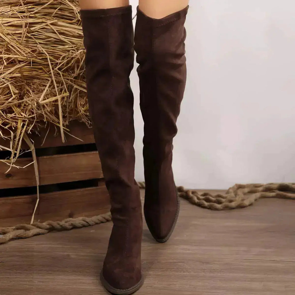 PU Leather Point Toe Block Heels Boots by Parfymia