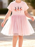 Girls Pink Ballerina Tulle Dress Short Sleeve Ballet Skirt — Parfymia
