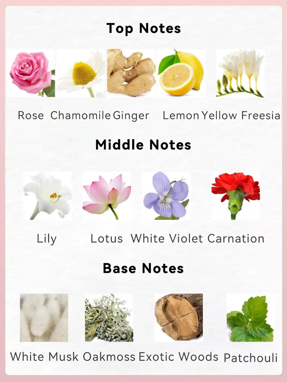 3.4fl Oz Women's Eau De Parfum - ROMANTIC MOMENT - Floral & Woody - With Rose, Chamomile, and Lemon - Medium Intensity Perfume Doba